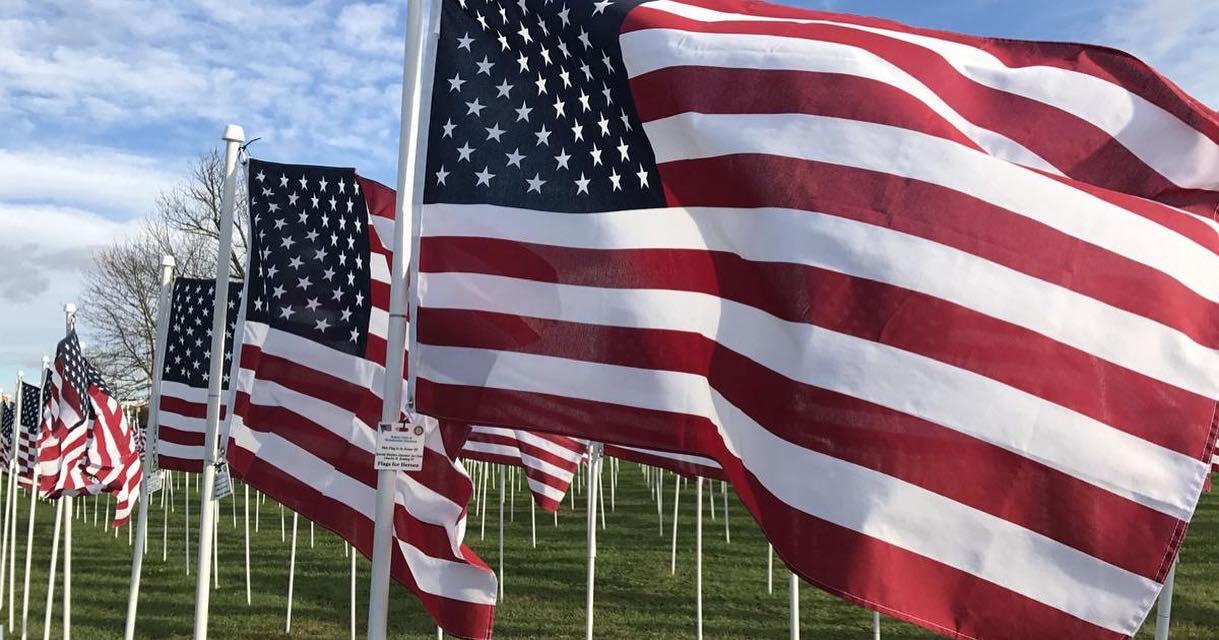 Campaign cover image for Brandywine Hundred Flags for Heroes