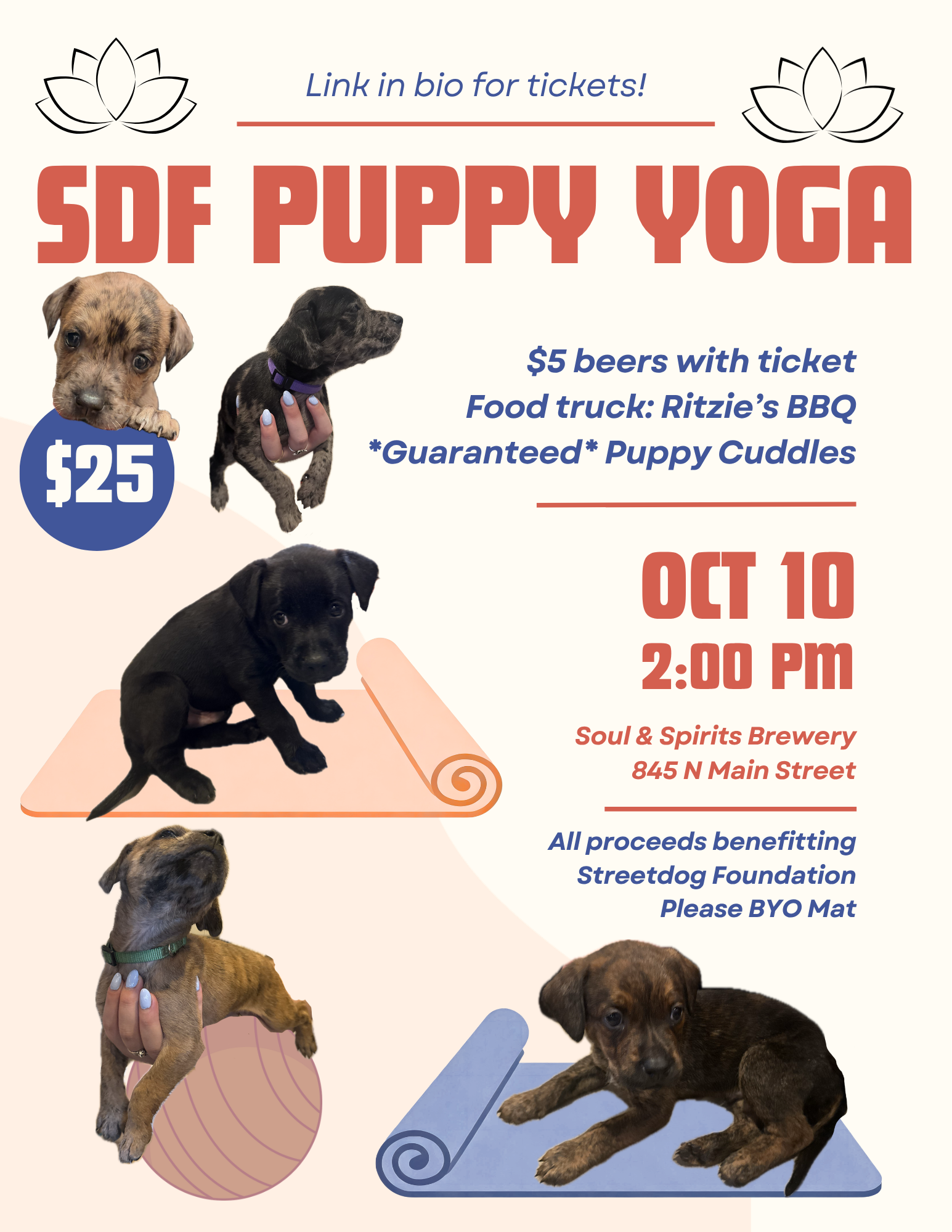 Campaign cover image for Puppy Yoga