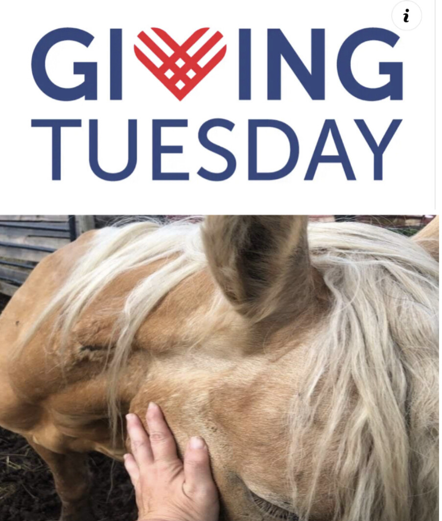 Campaign cover image for Giving Tuesday 11/28/2023