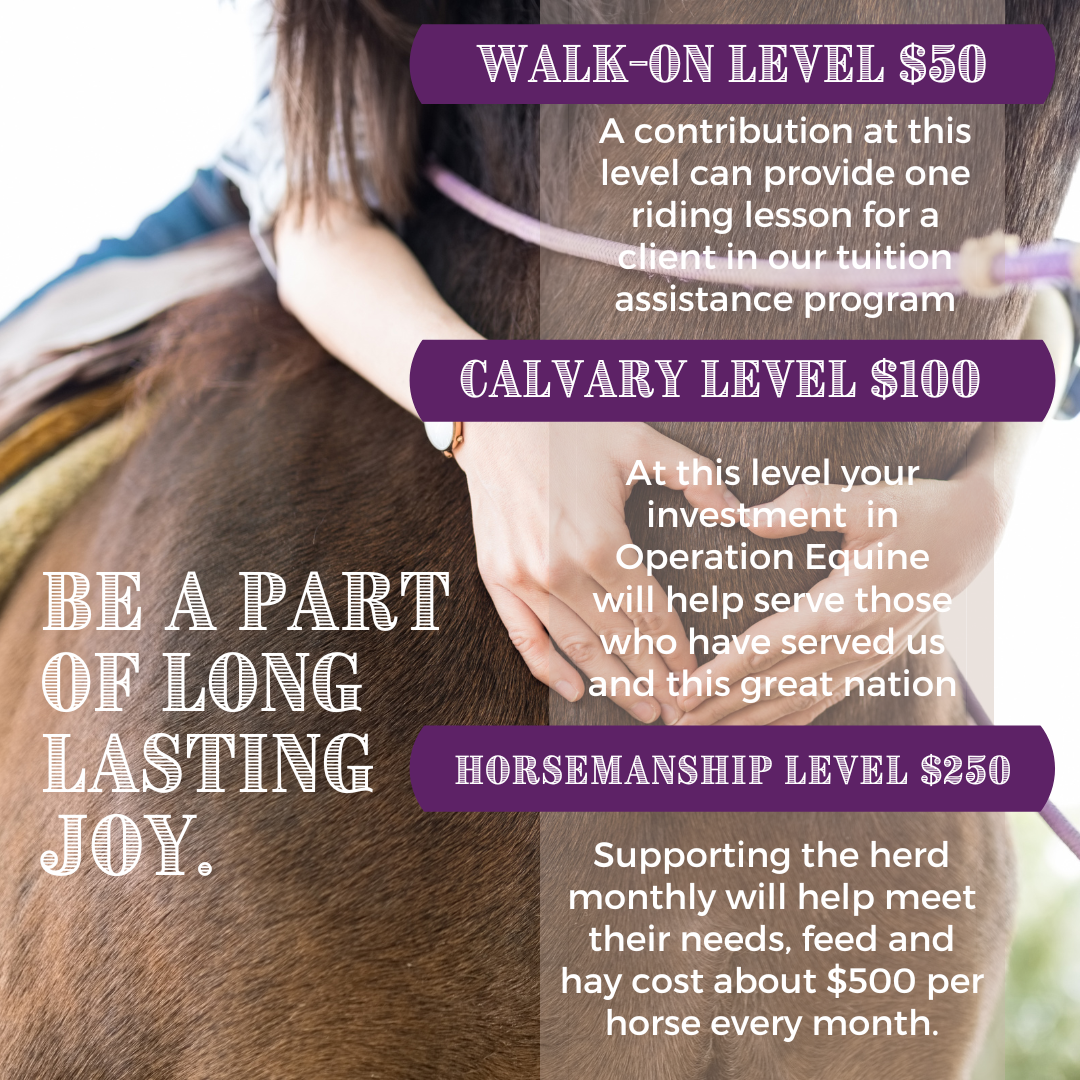 Campaign cover image for JoyRide Center's Monthly Giving Partnership