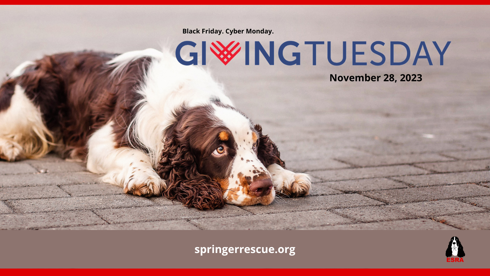 Campaign cover image for Giving Tuesday