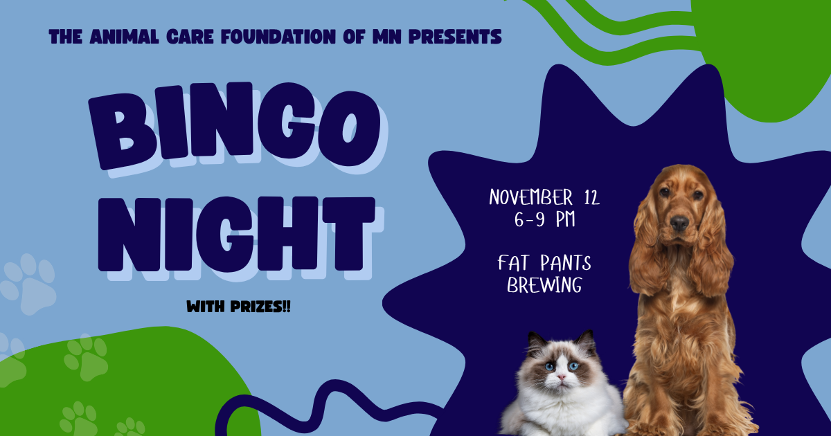 Campaign cover image for Bingo at Fat Pants Brewing