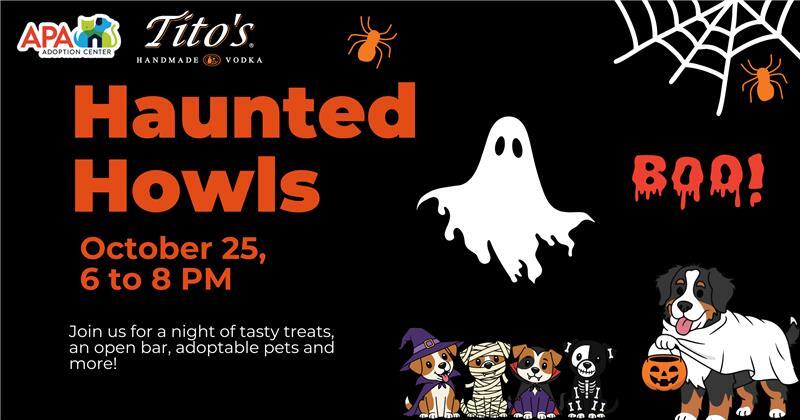 Campaign cover image for Haunted Howls