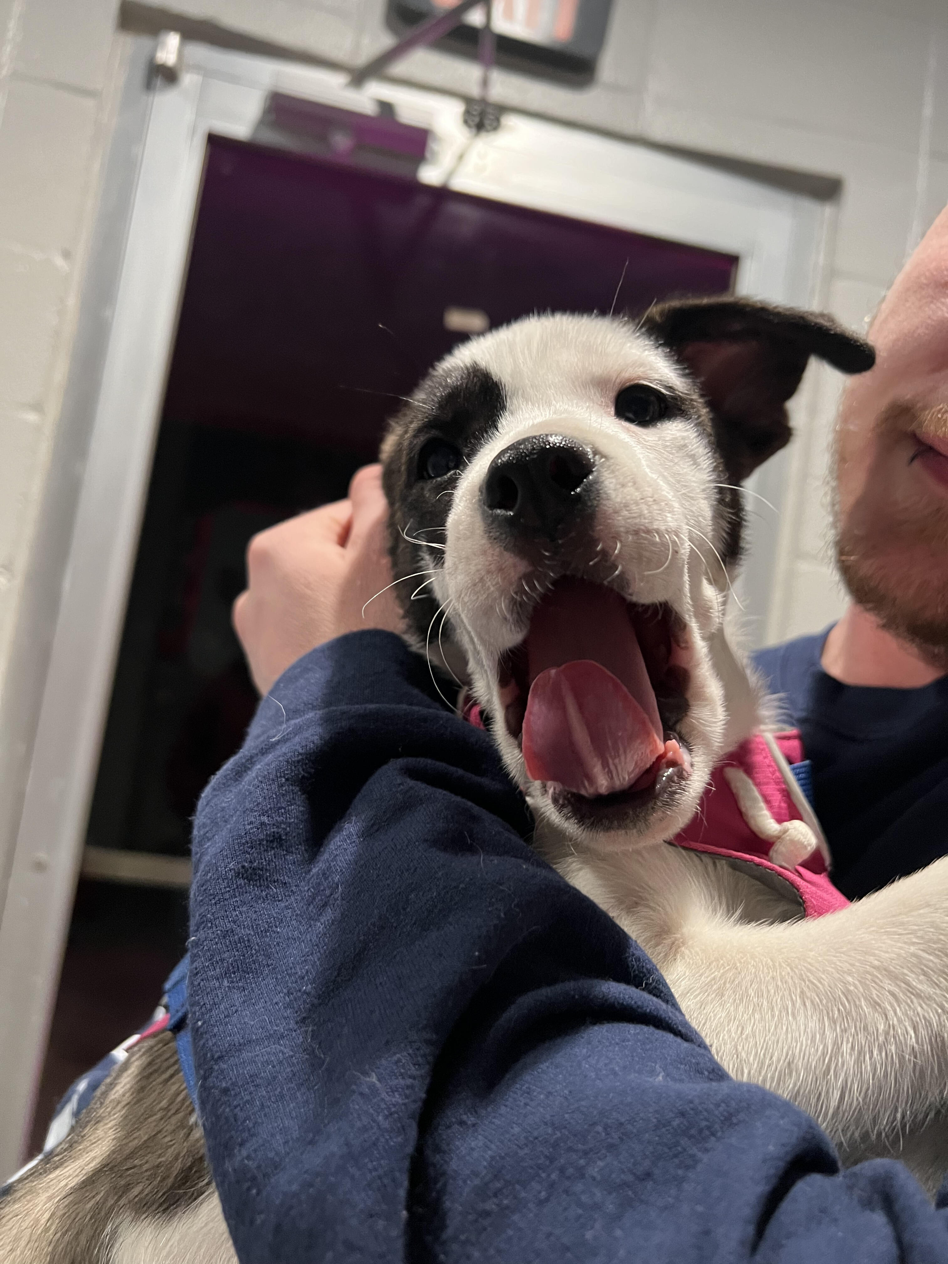 Campaign cover image for Reese's Medical and Care