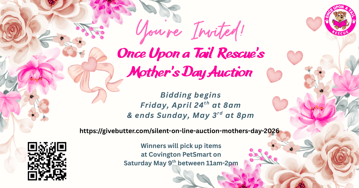 Campaign cover image for Silent On-Line Auction - MOTHER'S DAY 2026