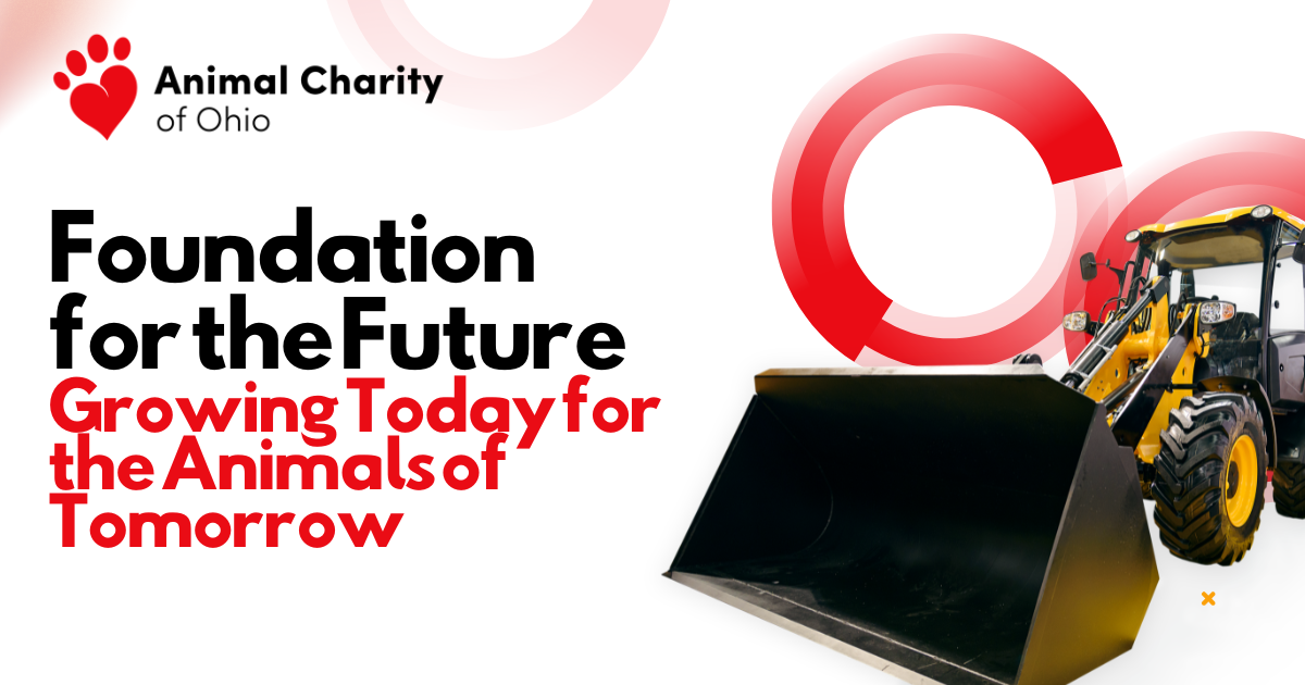 Campaign cover image for Foundation for the Future
