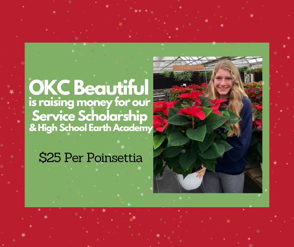 Campaign cover image for Poinsettia Fundraiser 2025
