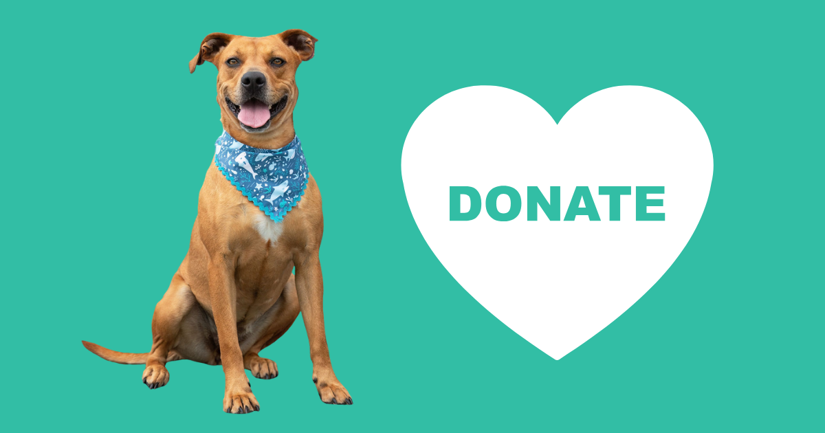 Campaign cover image for Monthly Giving