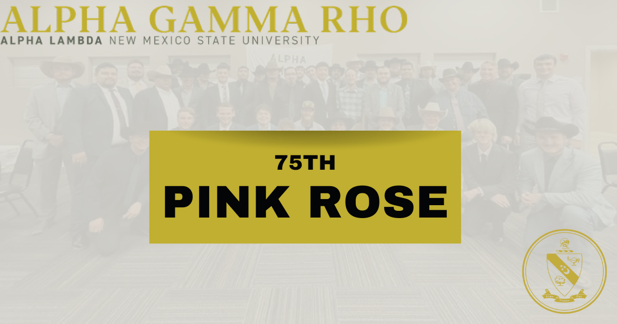 Campaign cover image for 75th Pink Rose