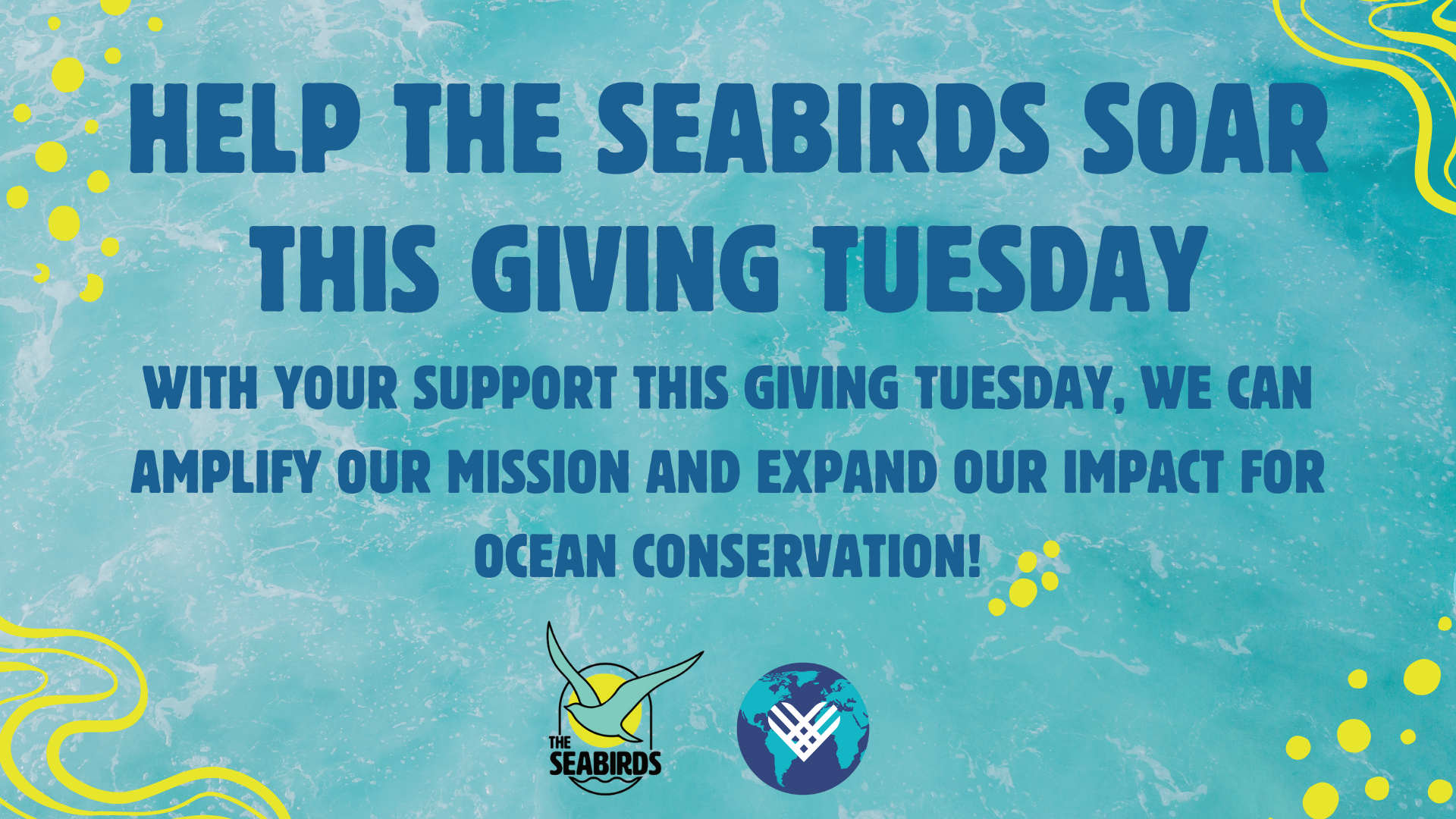 Campaign cover image for Help The Seabirds Soar!