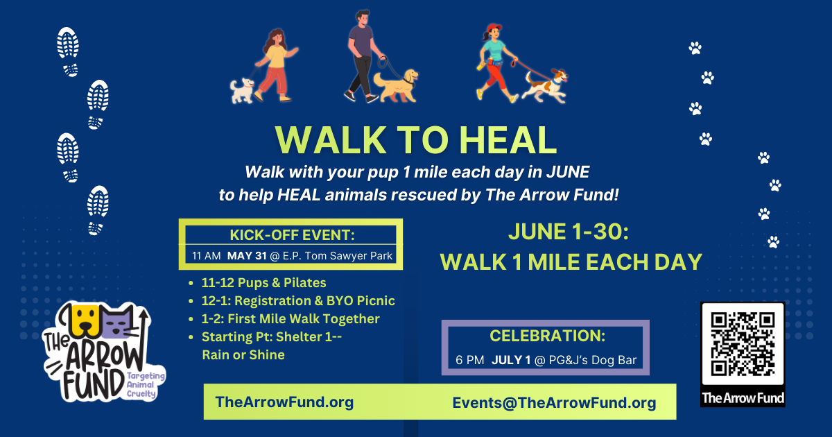 Campaign cover image for WALK to HEAL