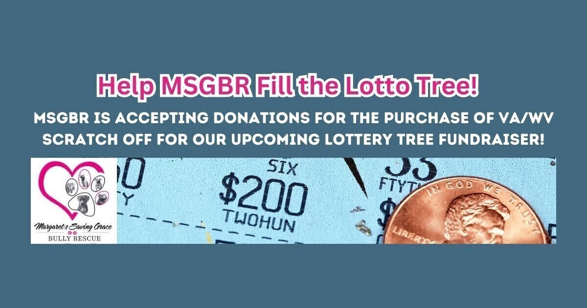 fill-the-msgbr-lotto-tree
