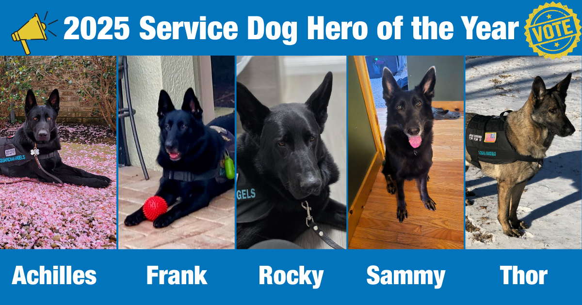Campaign cover image for 2025 Service Dog Hero of the Year