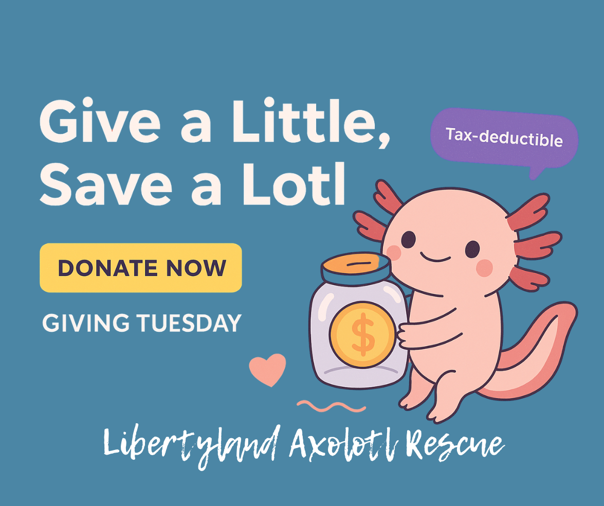 Campaign cover image for Give a Little, Save a Lotl: Giving Tuesday