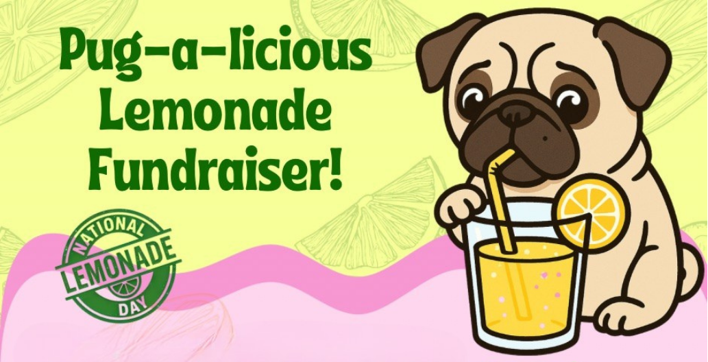 Campaign cover image for Pug-a-licious Lemonade Fundraiser