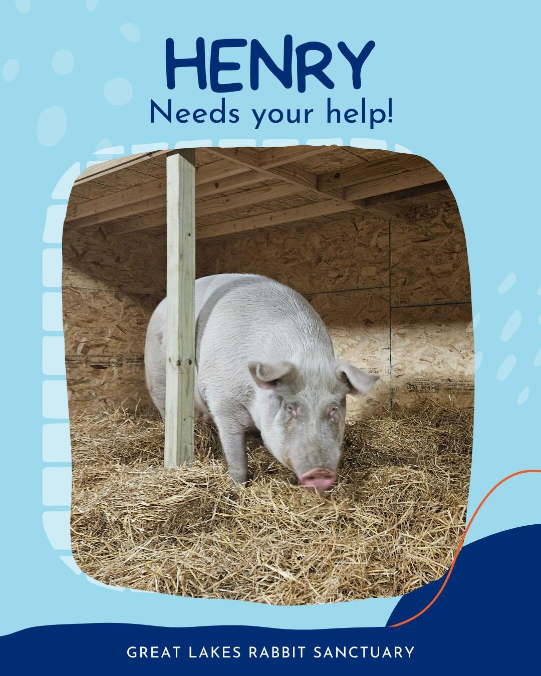 Campaign cover image for Henry Needs Your Help!