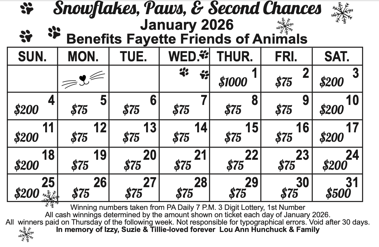 Campaign cover image for ❄️🐾 Snowflakes, Paws & Second Chances — the Perfect Stocking Stuffer! 🐾❄️