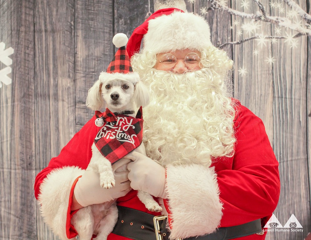 Campaign cover image for Santa Photos 2022