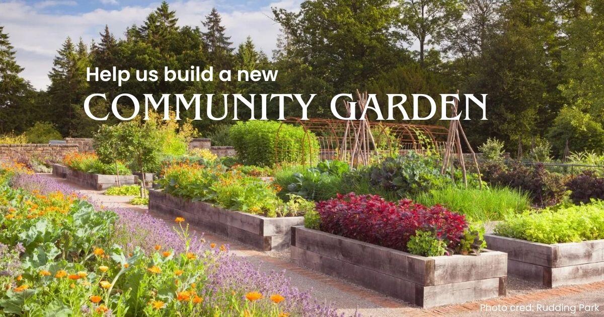 Campaign cover image for Blooming Together: Cultivate Community at Kimbell Garden