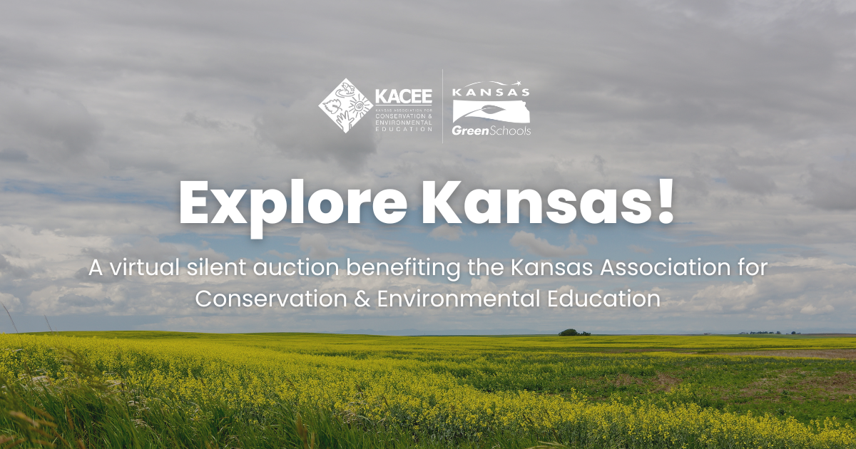 Campaign cover image for 2025 KACEE Auction — Explore Kansas
