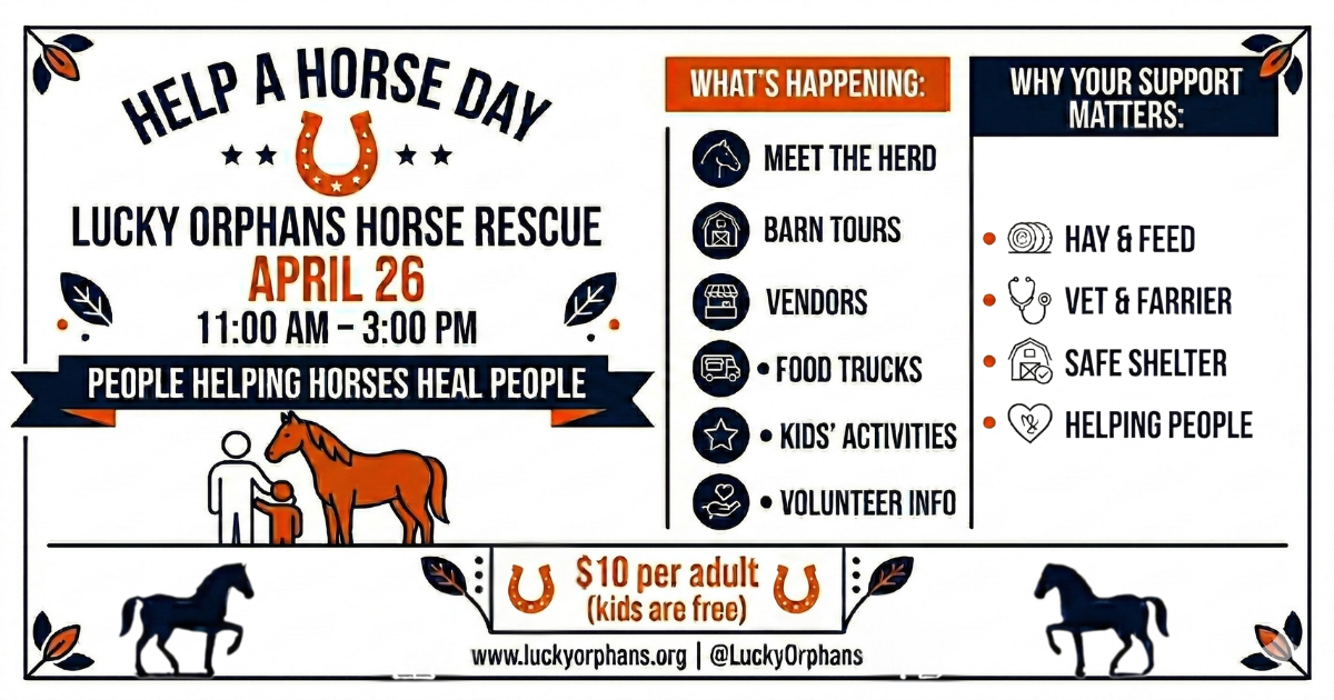 Campaign cover image for Help A Horse Day