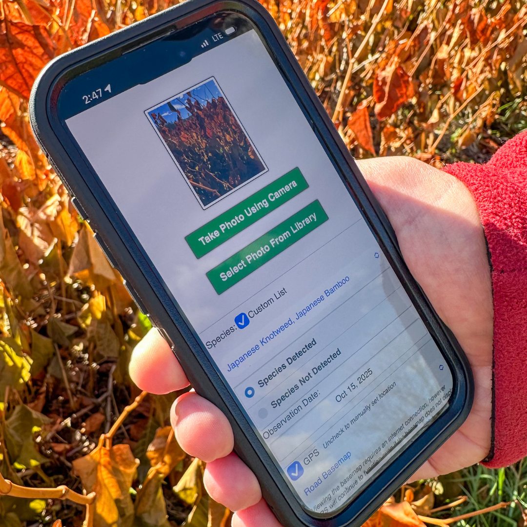 Campaign cover image for Part One: Learn How To Help Stop the Spread of Invasive Species- Zoom training for iMap Invasives