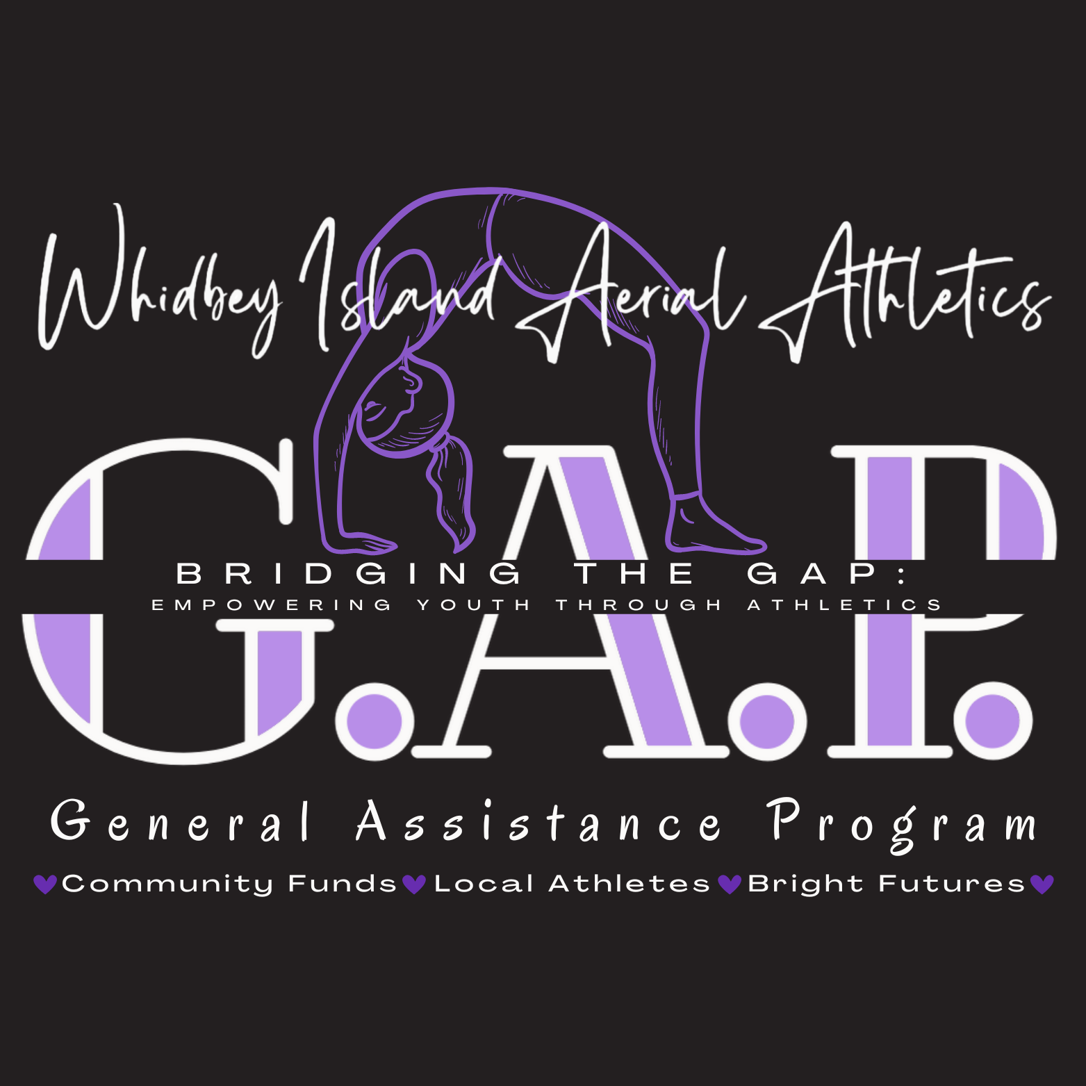 Campaign cover image for Whidbey Island Aerial Athletics - General Assistance Program