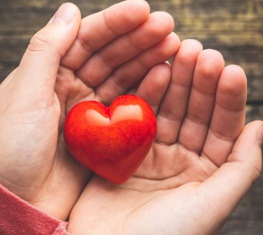 Campaign cover image for GivingTuesday 1:1 MATCHING Opportunity