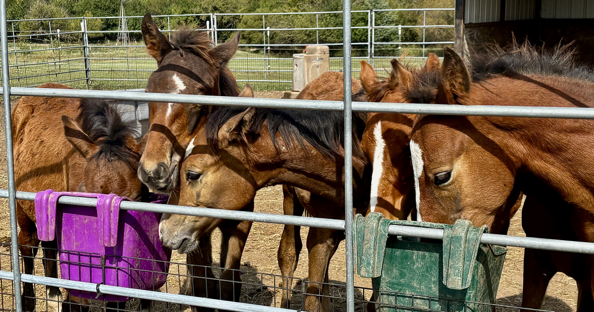 Campaign cover image for From Hardship To HOPE