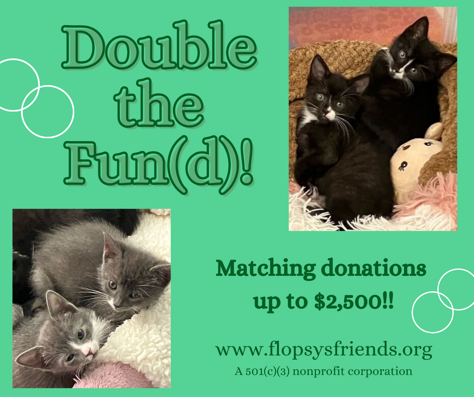 Campaign cover image for Double the Fun(d)!