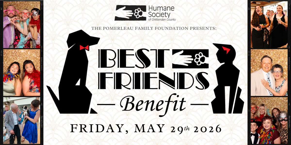 Campaign cover image for Best Friends Benefit