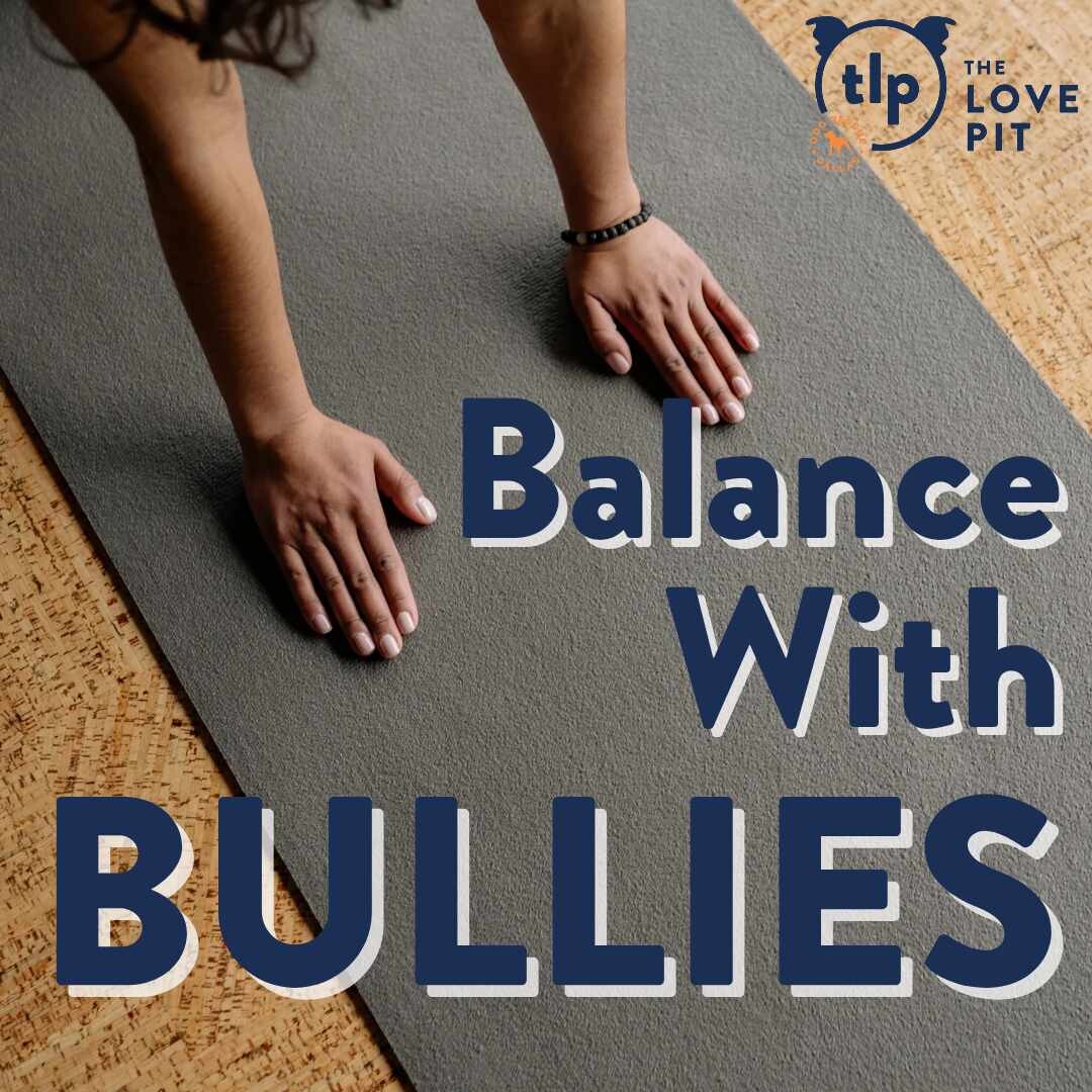 Campaign cover image for Balance with Bullies: Yoga Class