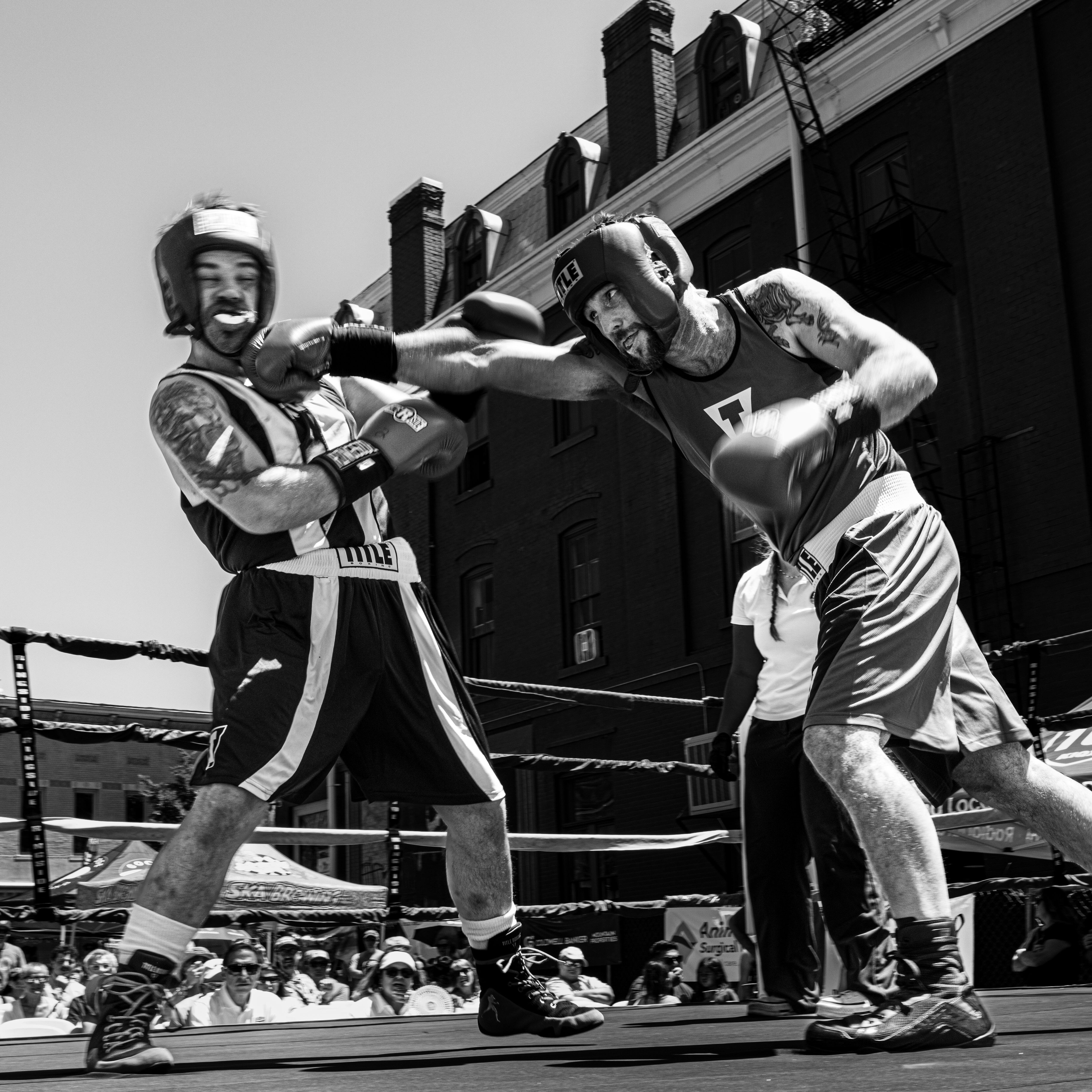 Campaign cover image for 2026 Animus on the Animas, 3rd Annual Durango Boxing Classic