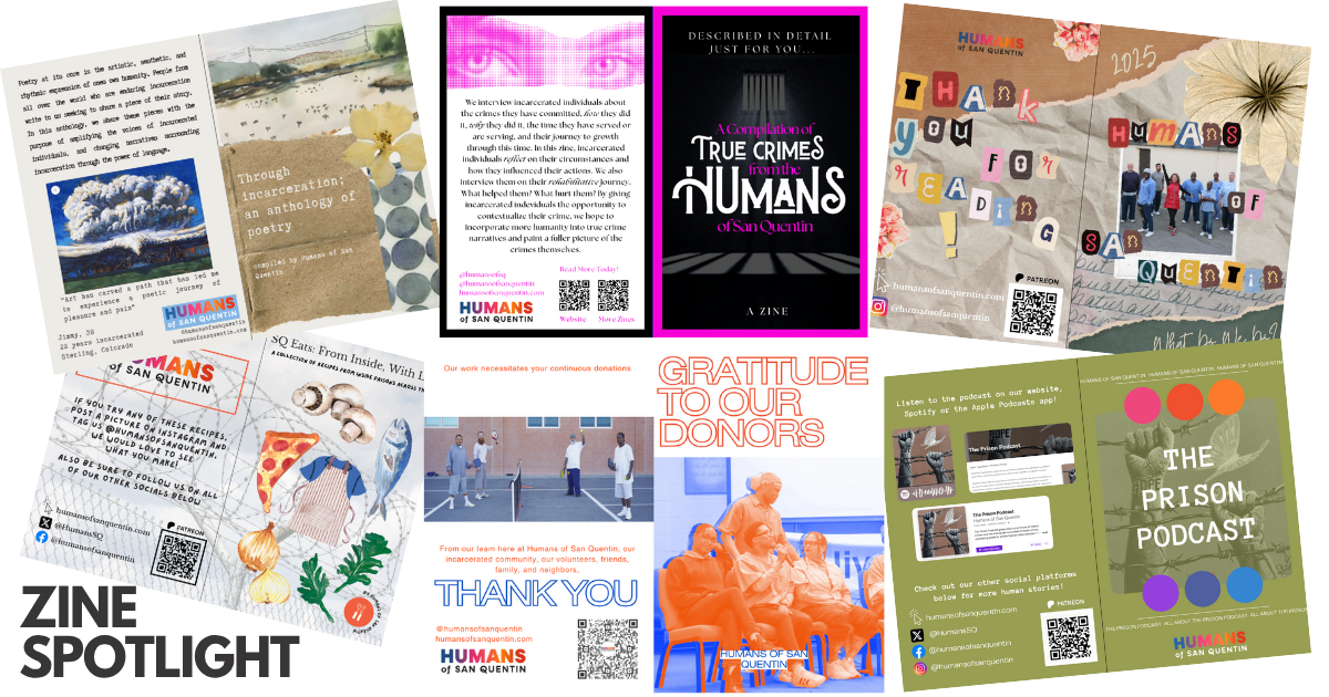 Campaign cover image for Zines