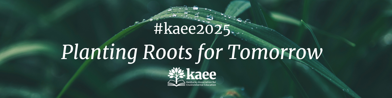 Campaign cover image for #kaee2025 Planting Roots for Tomorrow