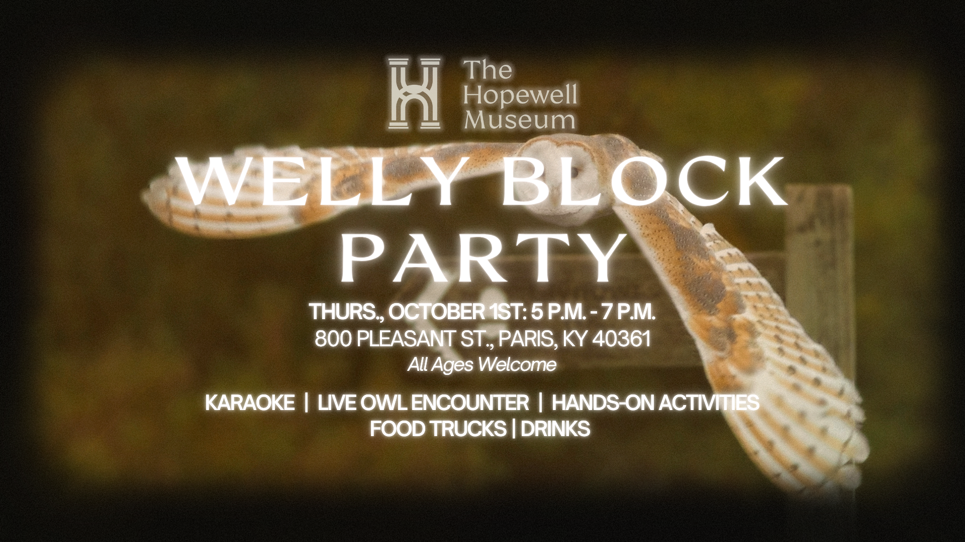 Campaign cover image for Welly Block Party
