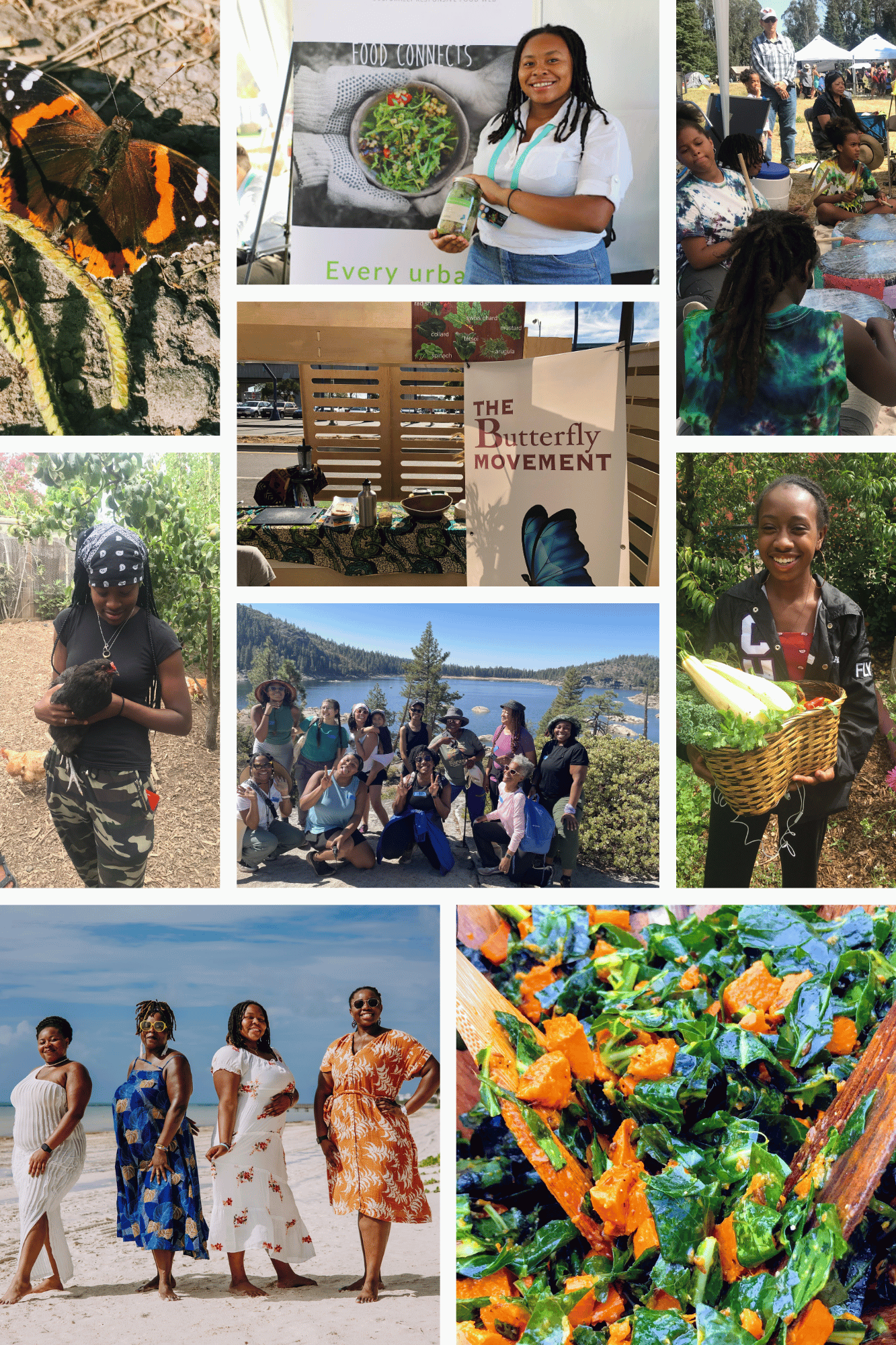 Campaign cover image for Butterflies Taking Flight in 2025