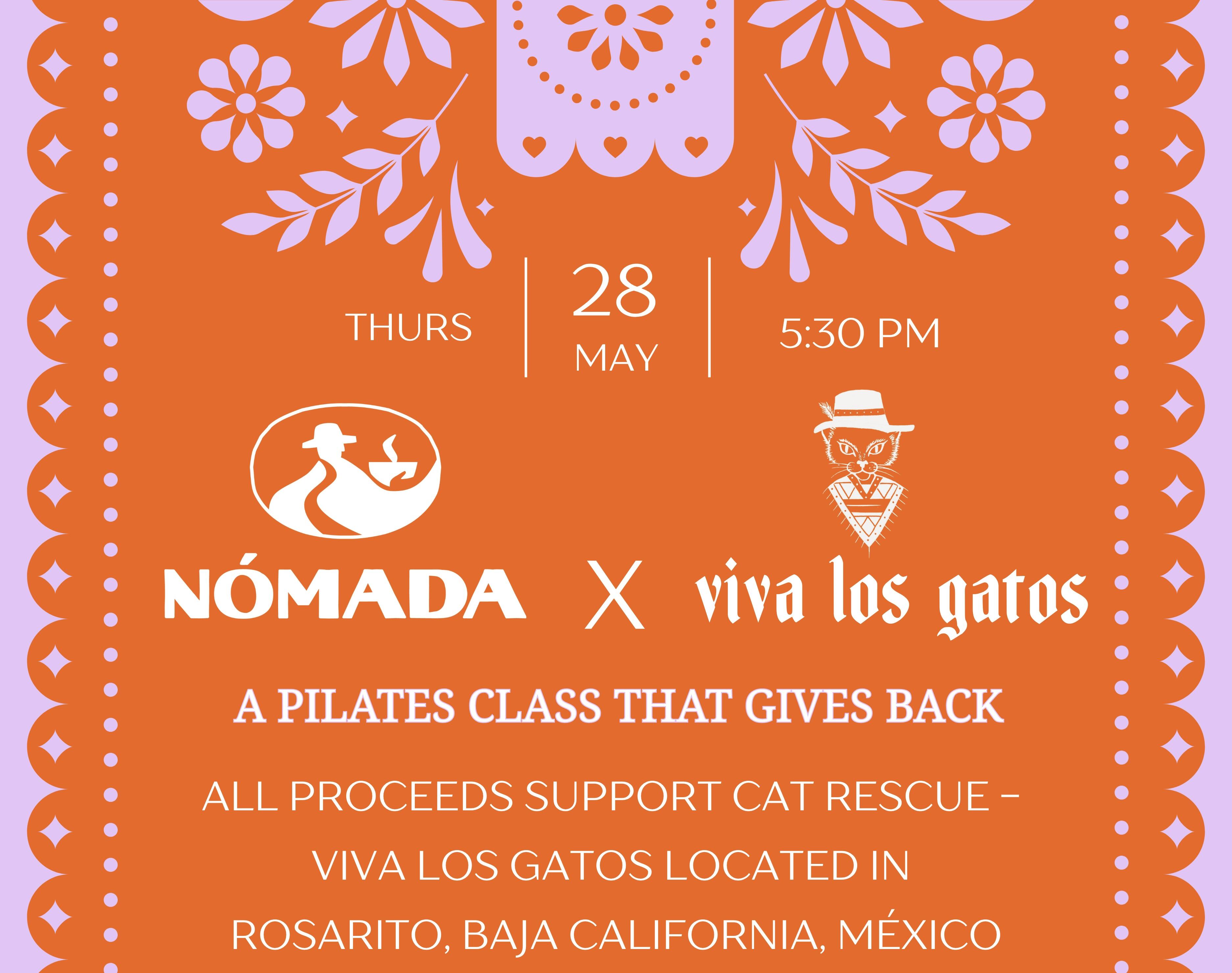 Campaign cover image for Nómada x viva los gatos
