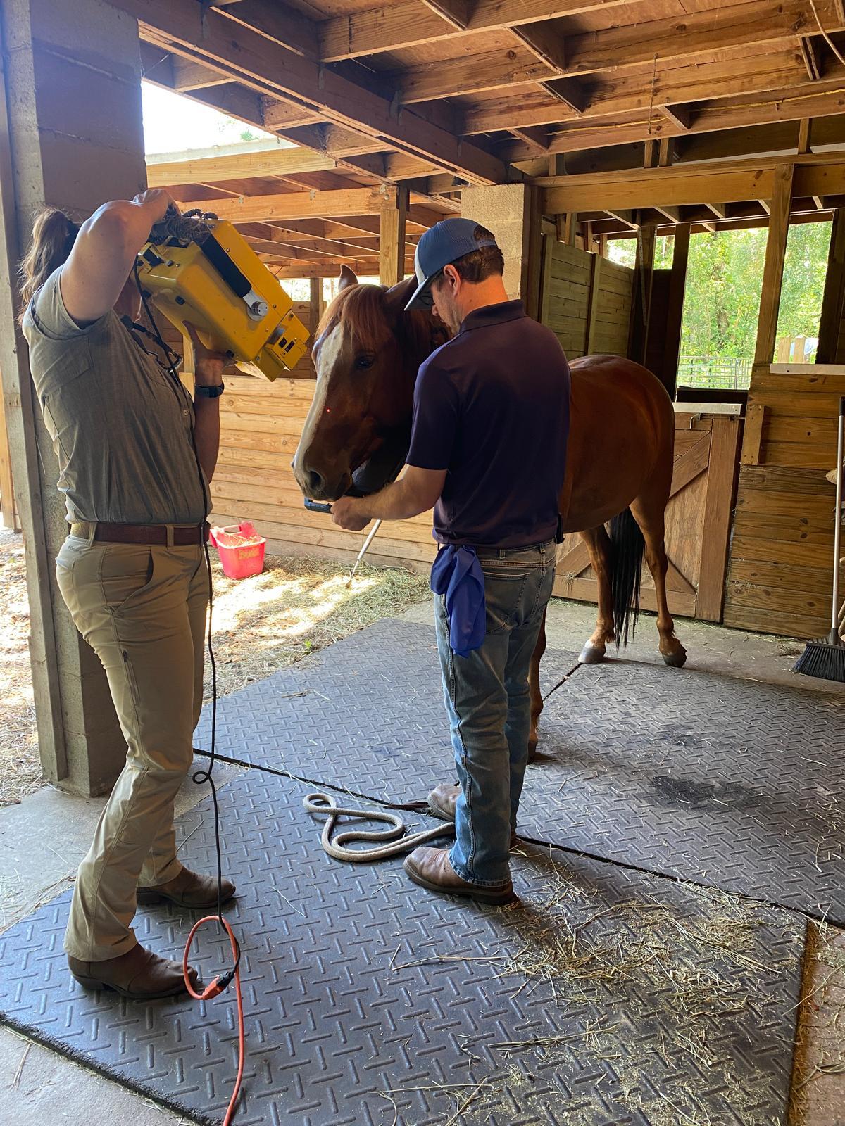 Campaign cover image for Help Kopper Heal – One X-Ray at a Time