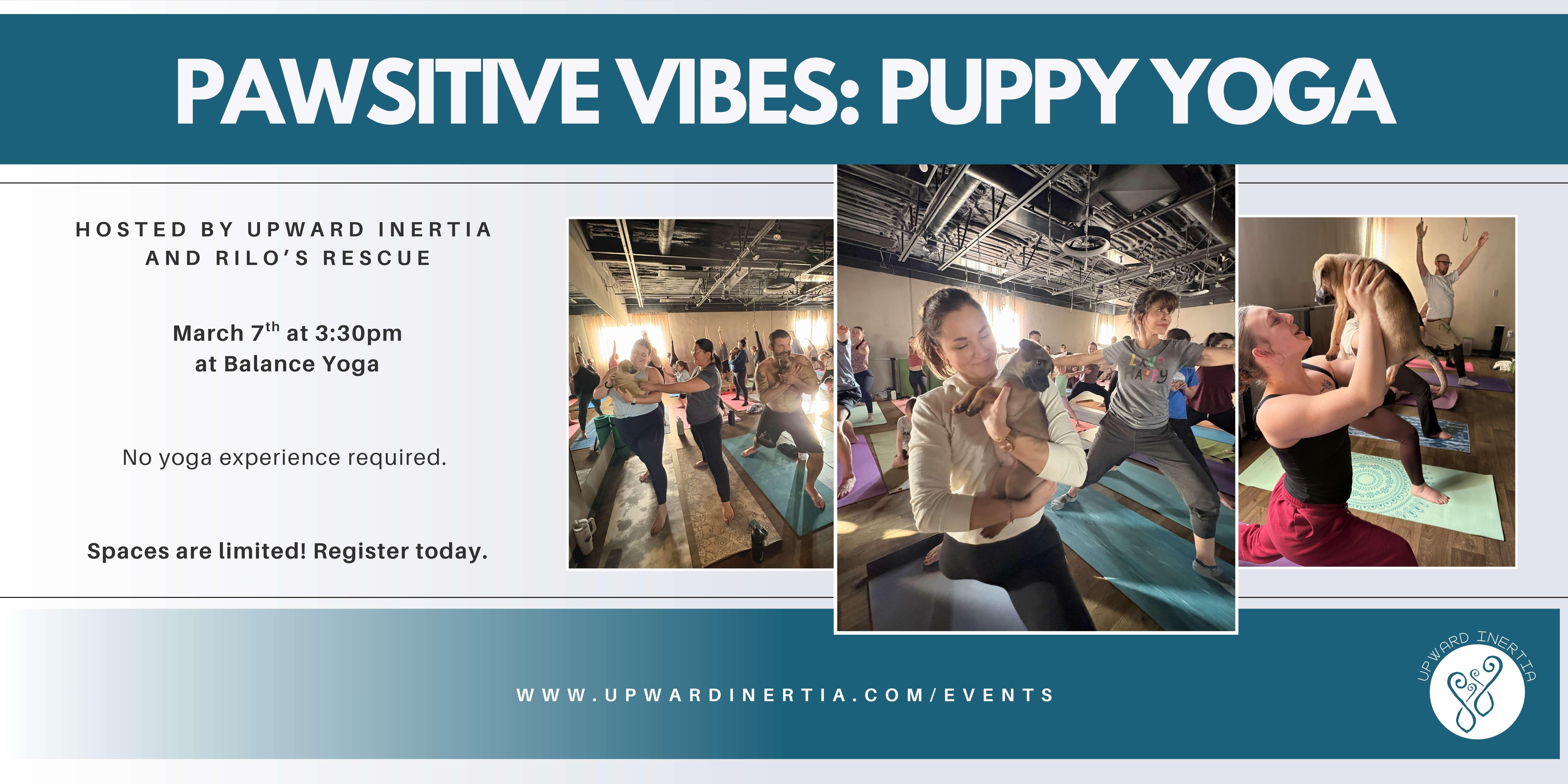 Campaign cover image for Pawsitive Vibes: Puppy Yoga with Upward Inertia and Rilo's Rescue