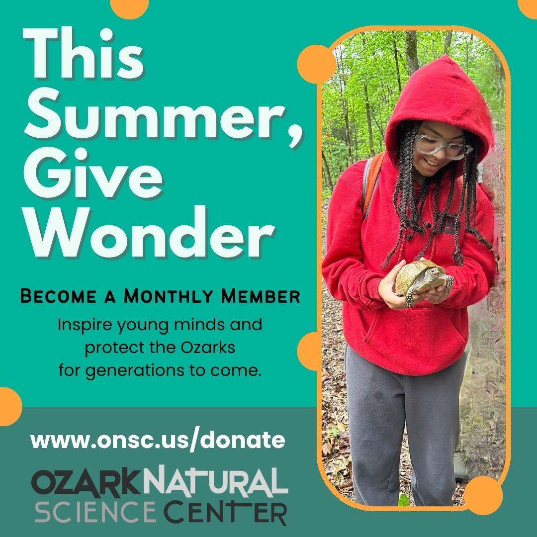 Campaign cover image for This Summer, Give Wonder