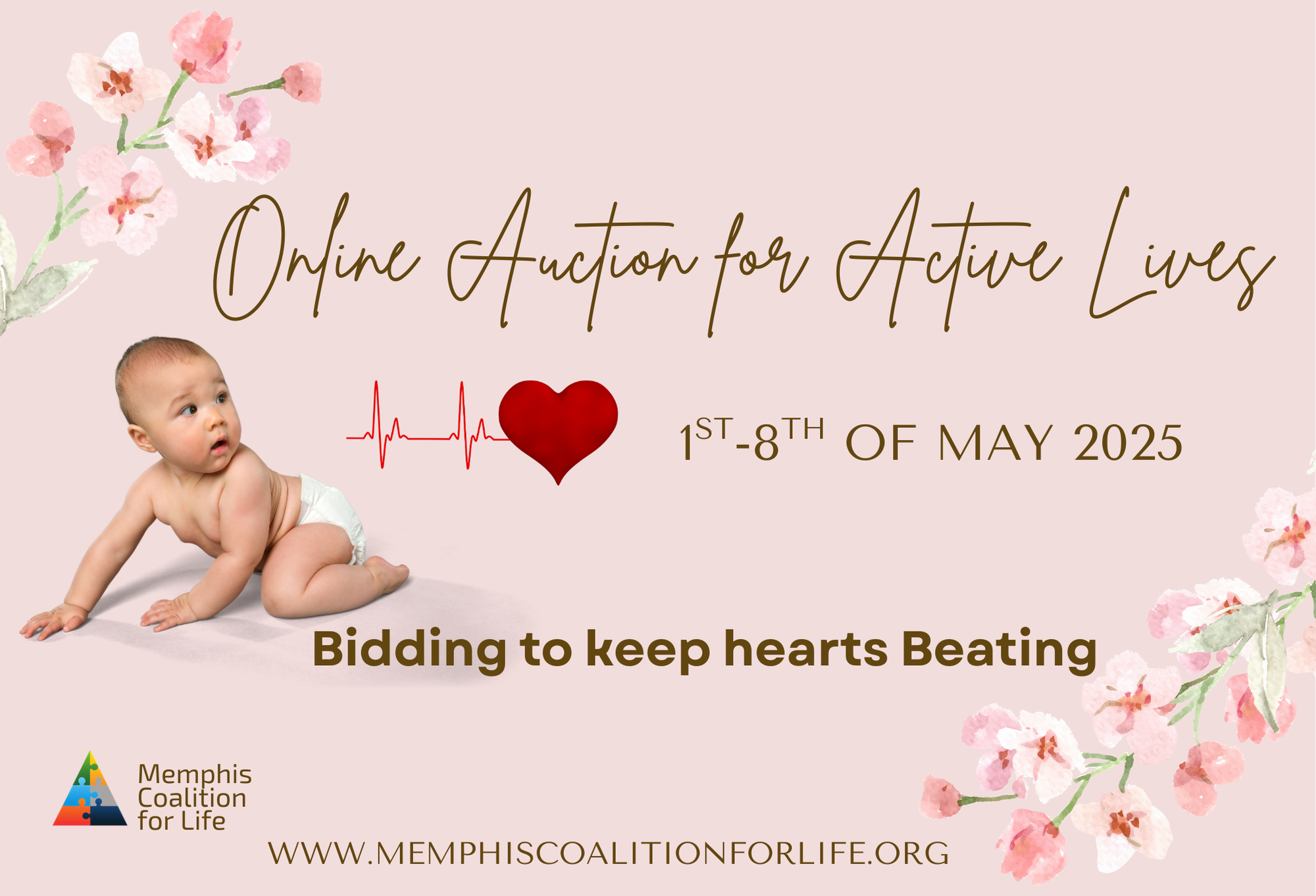 Campaign cover image for May Online Auction