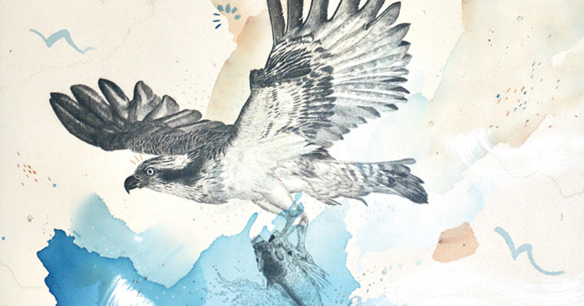 Campaign cover image for Artist Talk: Alicia Hauff