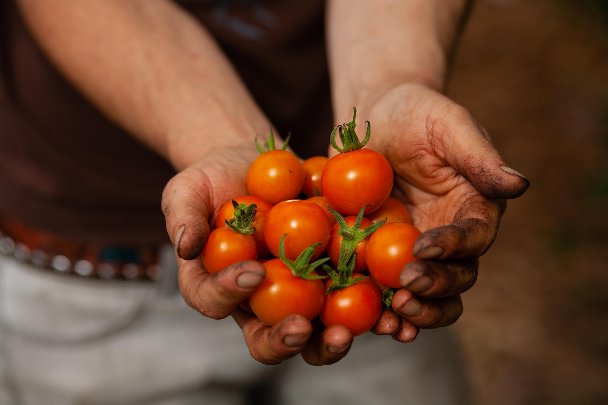 Campaign cover image for JCFM Year End Giving 2025