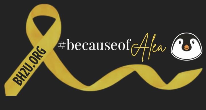 Campaign cover image for SAVE THE DATE