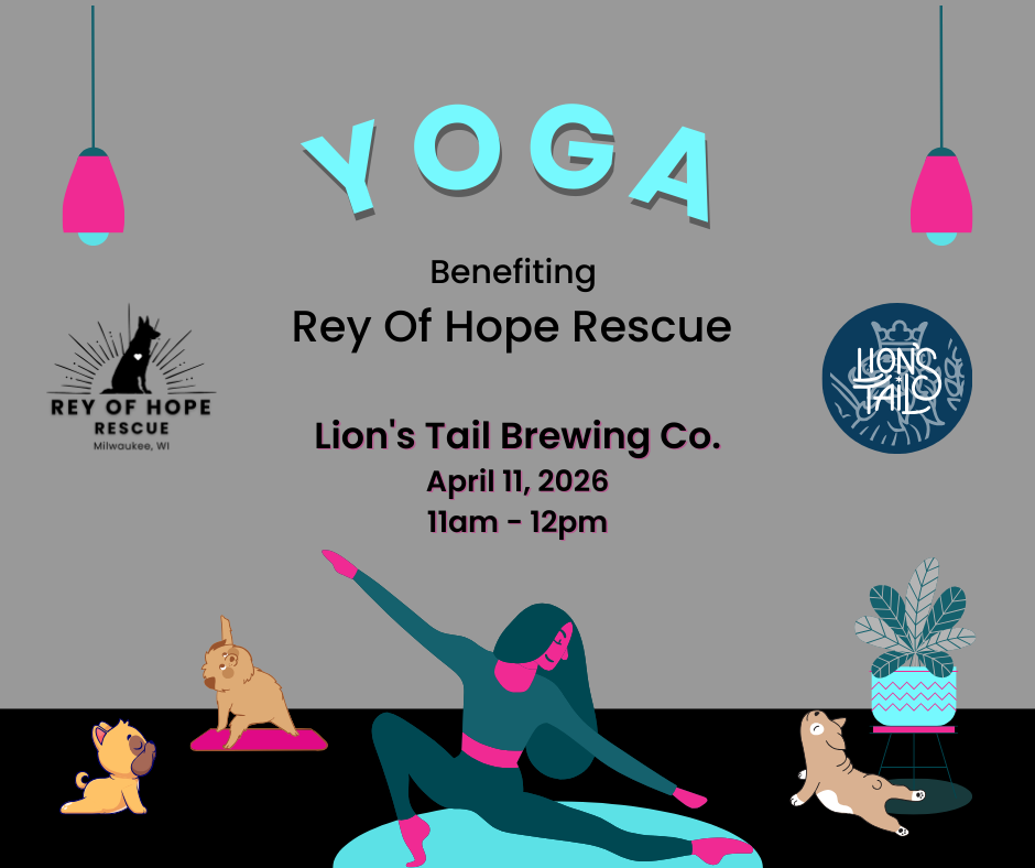 Campaign cover image for Rey of Hope Rescue Yoga Fundraiser