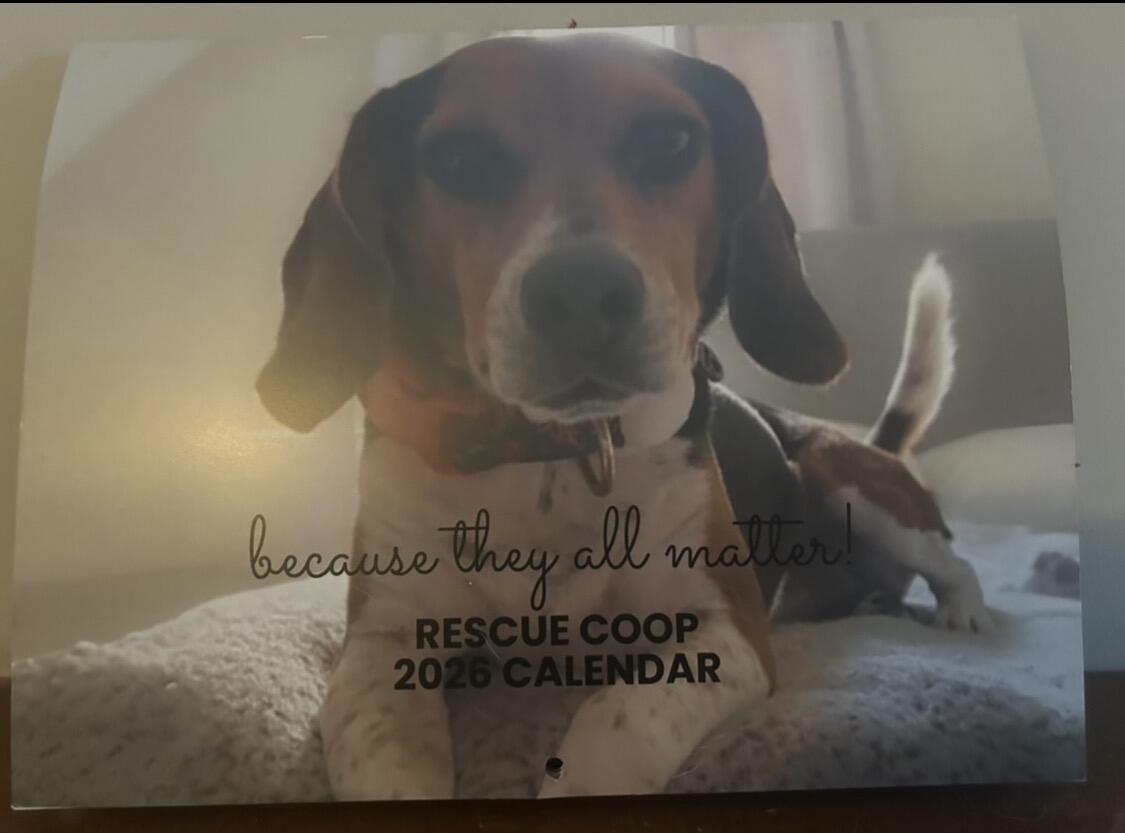 Campaign cover image for Rescue Coop 2027 Calendar Month Auction!