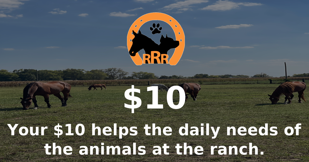 Campaign cover image for Your $10