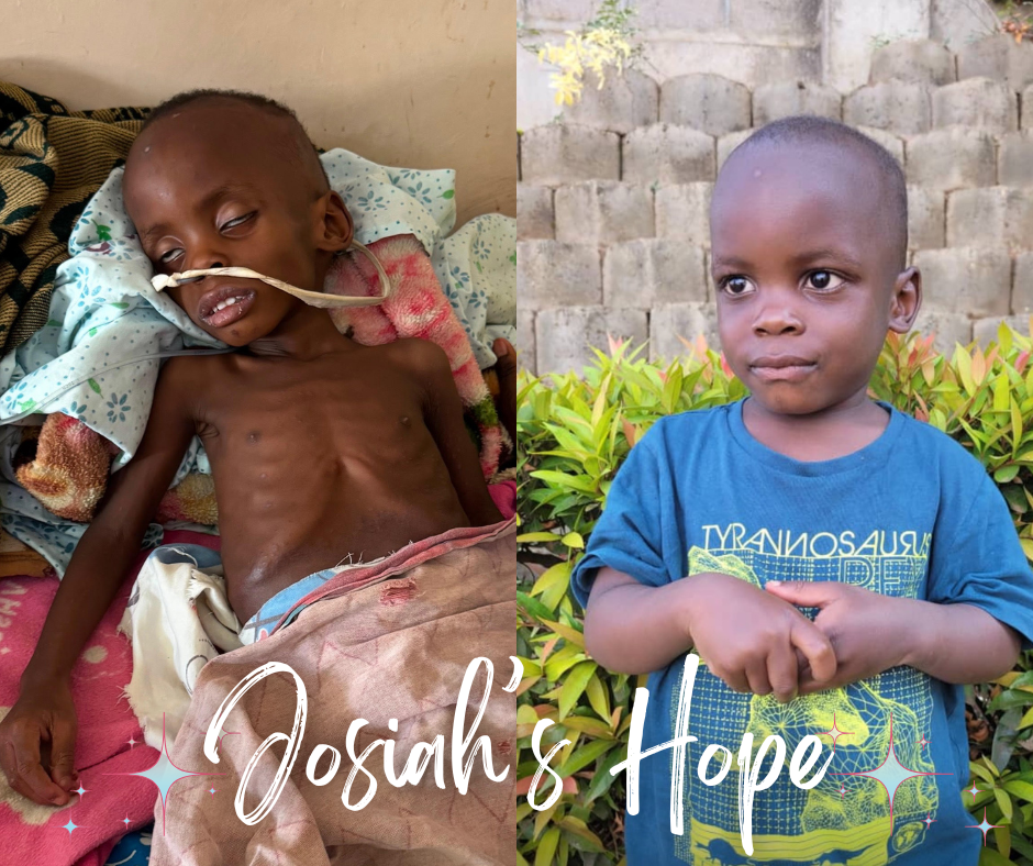 Campaign cover image for Josiah's Hope