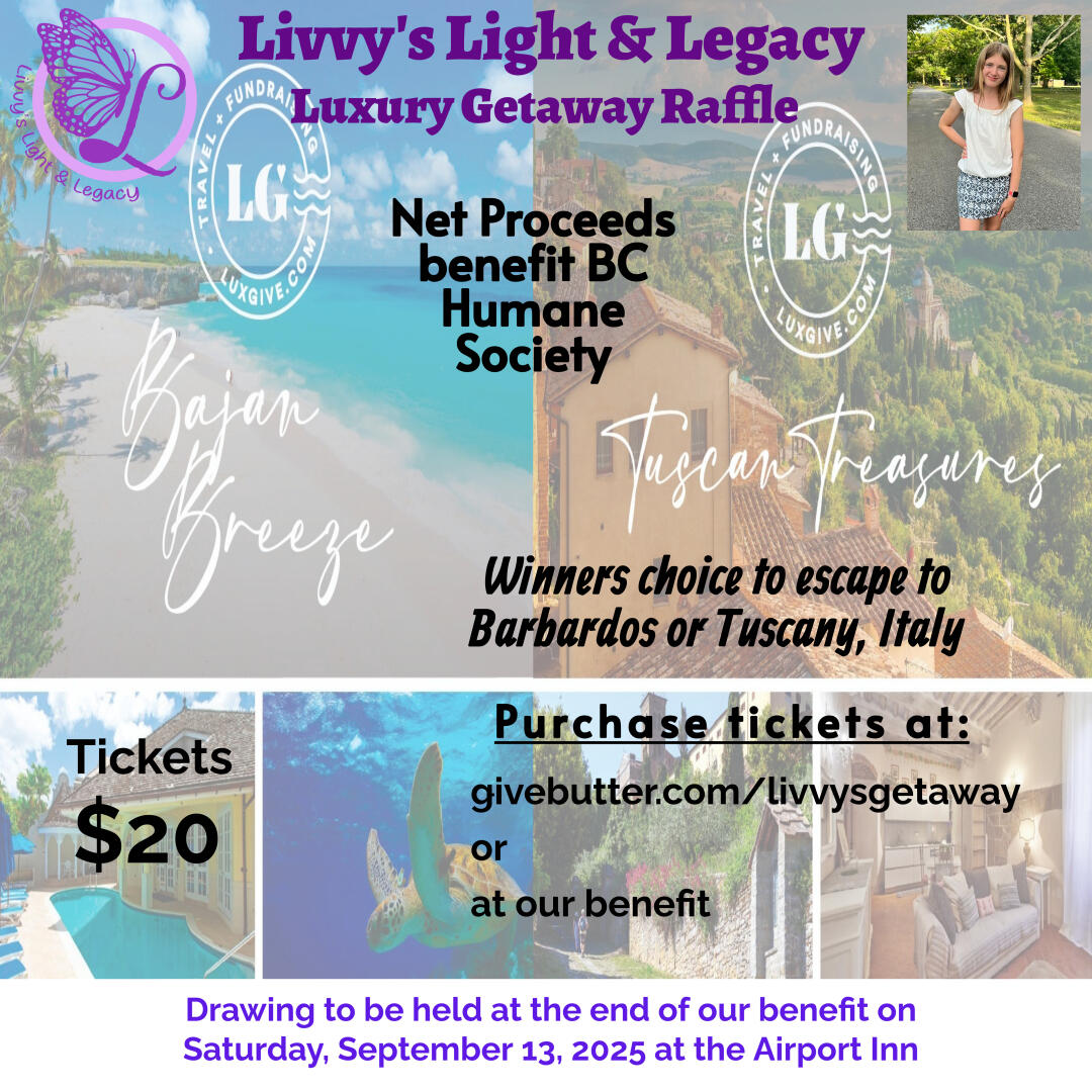 Campaign cover image for Livvy's Luxury Getaway Raffle